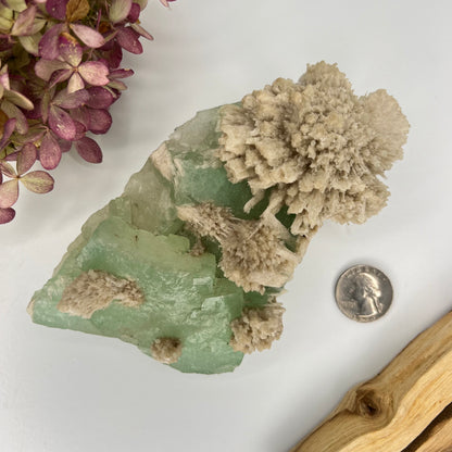 Zeolite // Apophyllite // Green // Natural Mineral