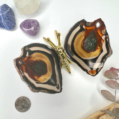 Agate // Butterfly