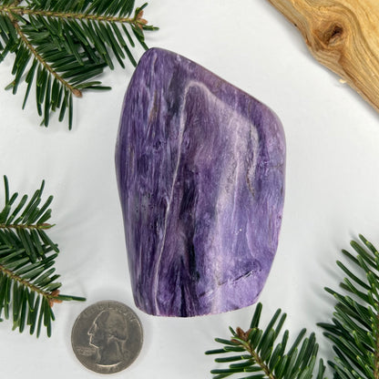 Charoite // Standing Free Forms