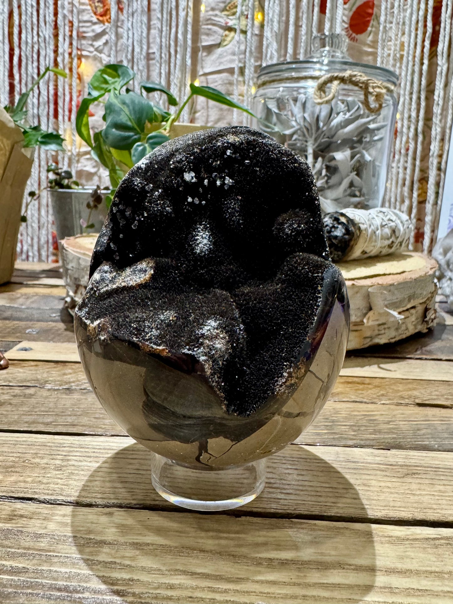 Septarian // Dragon // Egg