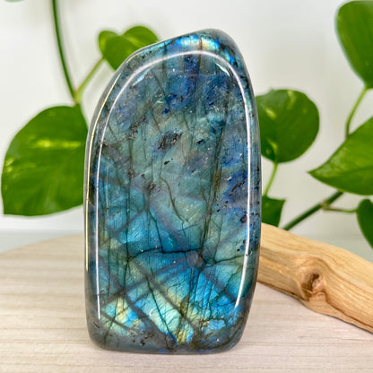 Labradorite // Free Form