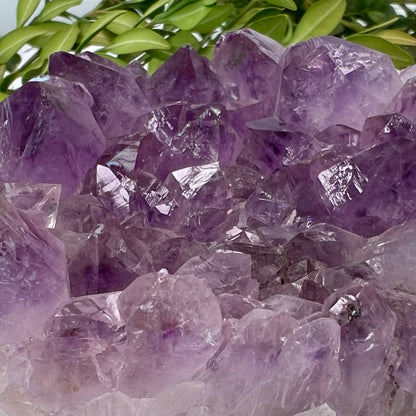 Amethyst // Cluster // Heart