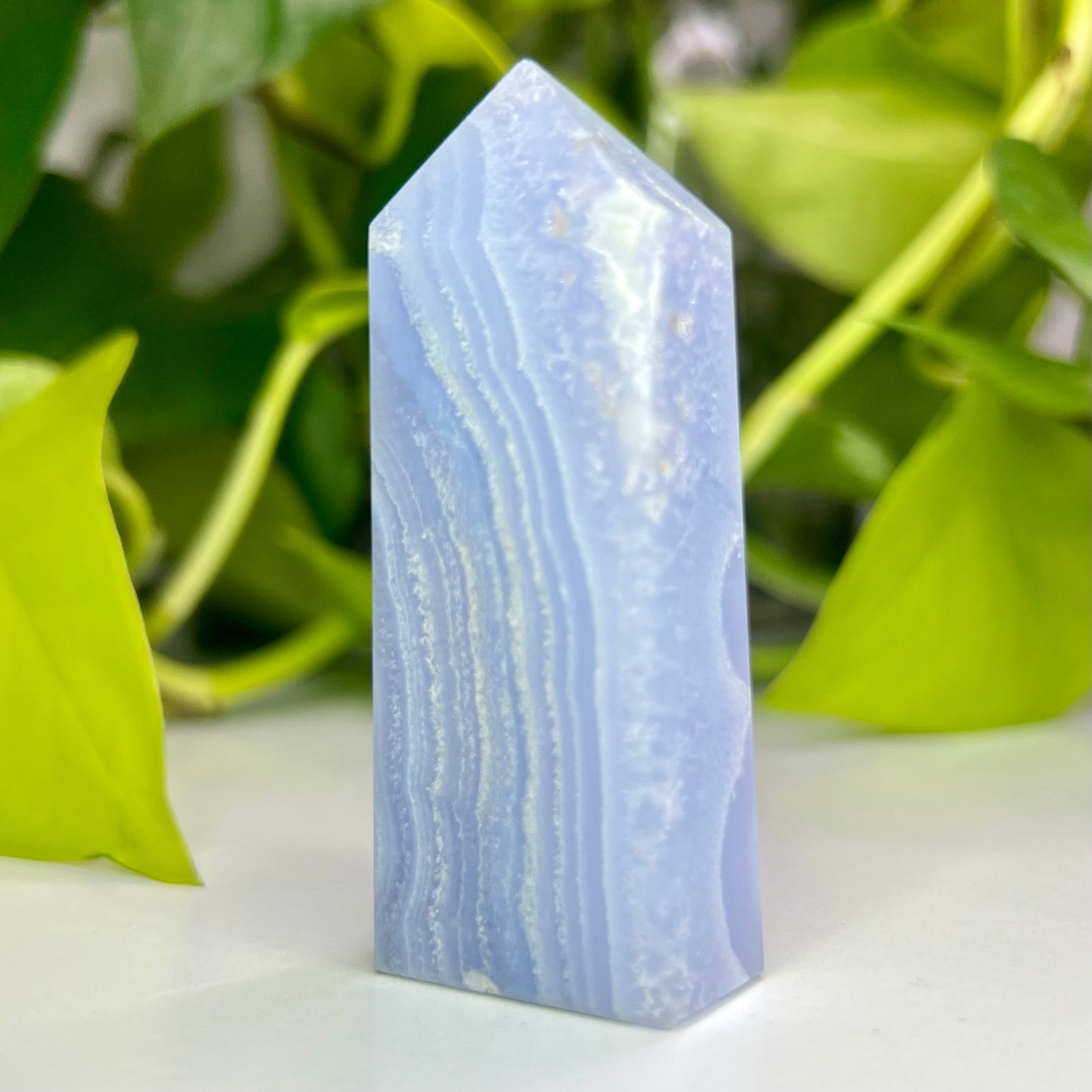 Blue Lace Agate // Tower