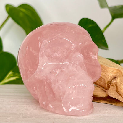 Rose Quartz // Skull