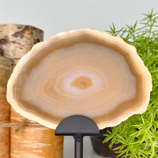 Agate // Slab
