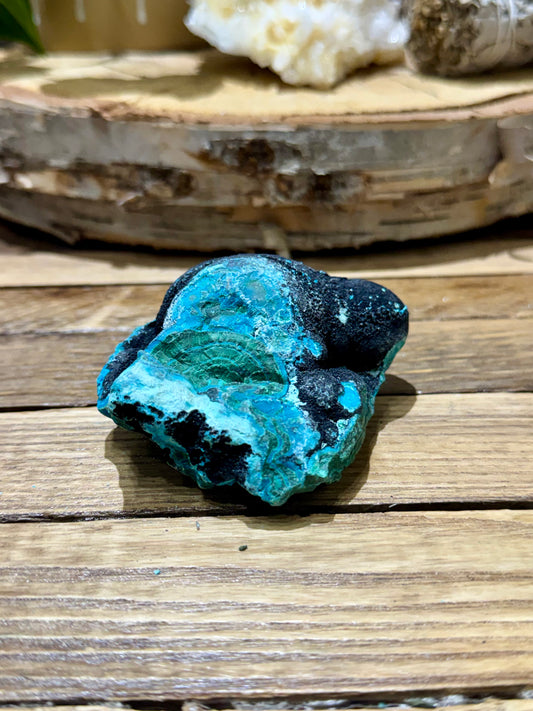 Malacholla // Mineral Specimen // Rough