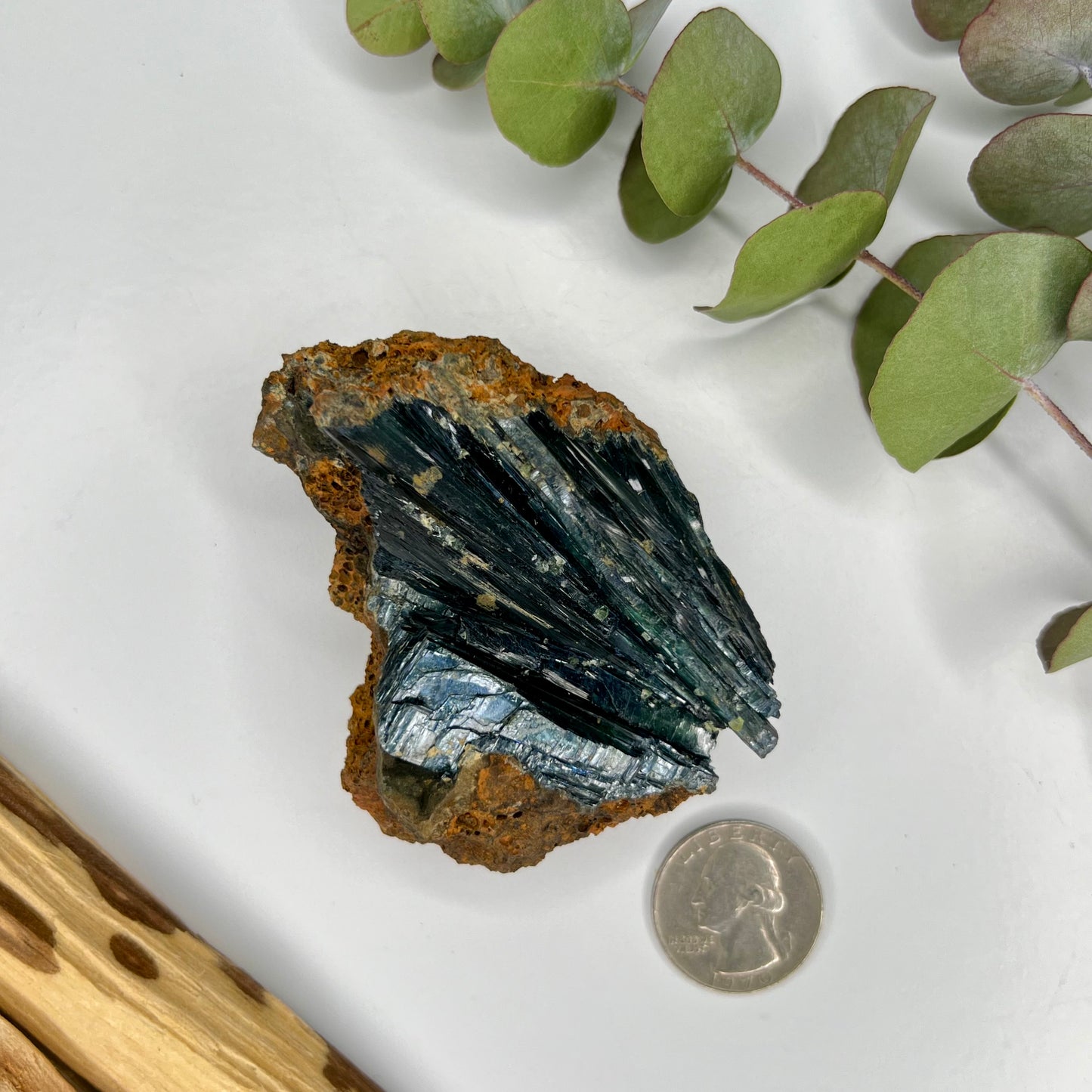 Vivianite // Natural Mineral // In Matrix