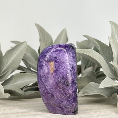 Charoite // Standing Free Forms