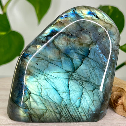 Labradorite // Free Form