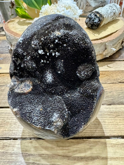 Septarian // Dragon // Egg