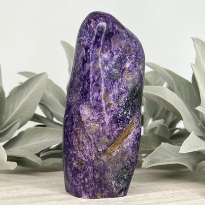 Charoite // Standing Free Forms