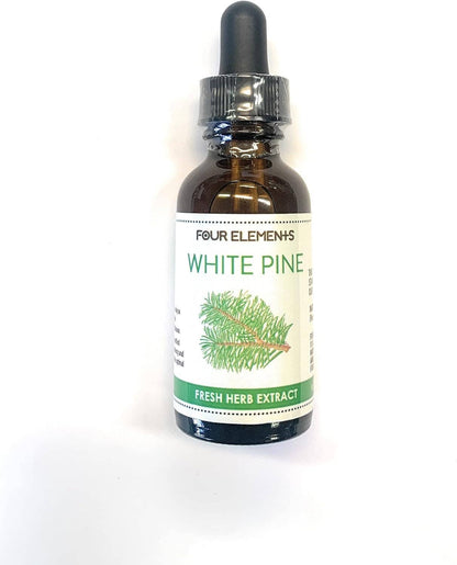 White Pine // Tincture // Four Elements