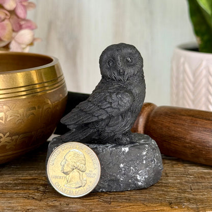 Shungite // Owl