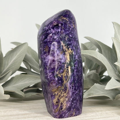 Charoite // Standing Free Forms