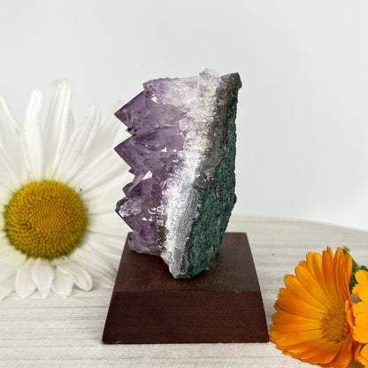 Amethyst // Cluster // Wood Base