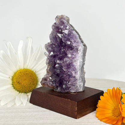 Amethyst // Cluster // Wood Base