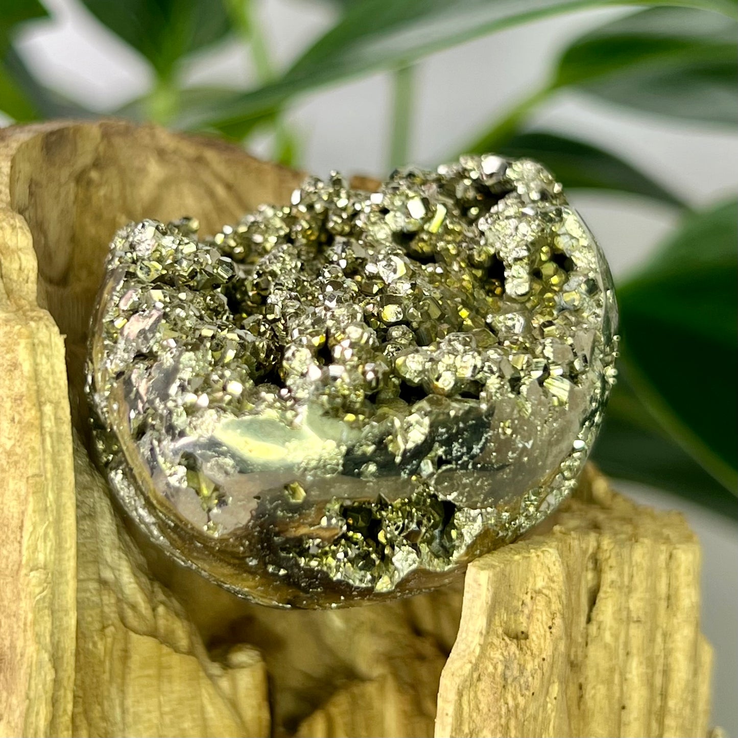 Pyrite // Egg