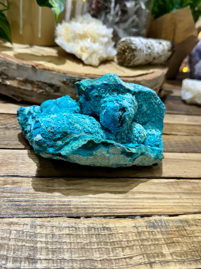 Malacholla // Mineral Specimen // Rough