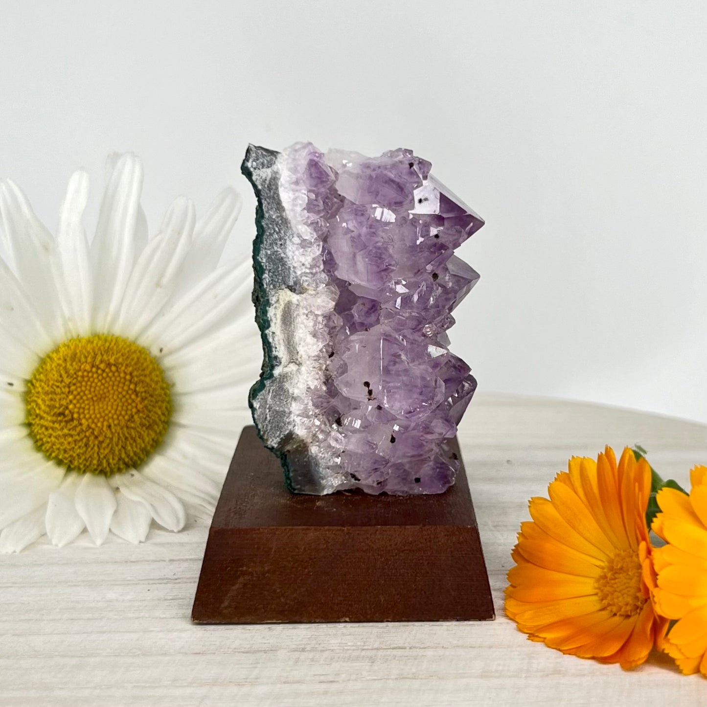 Amethyst // Cluster // Wood Base