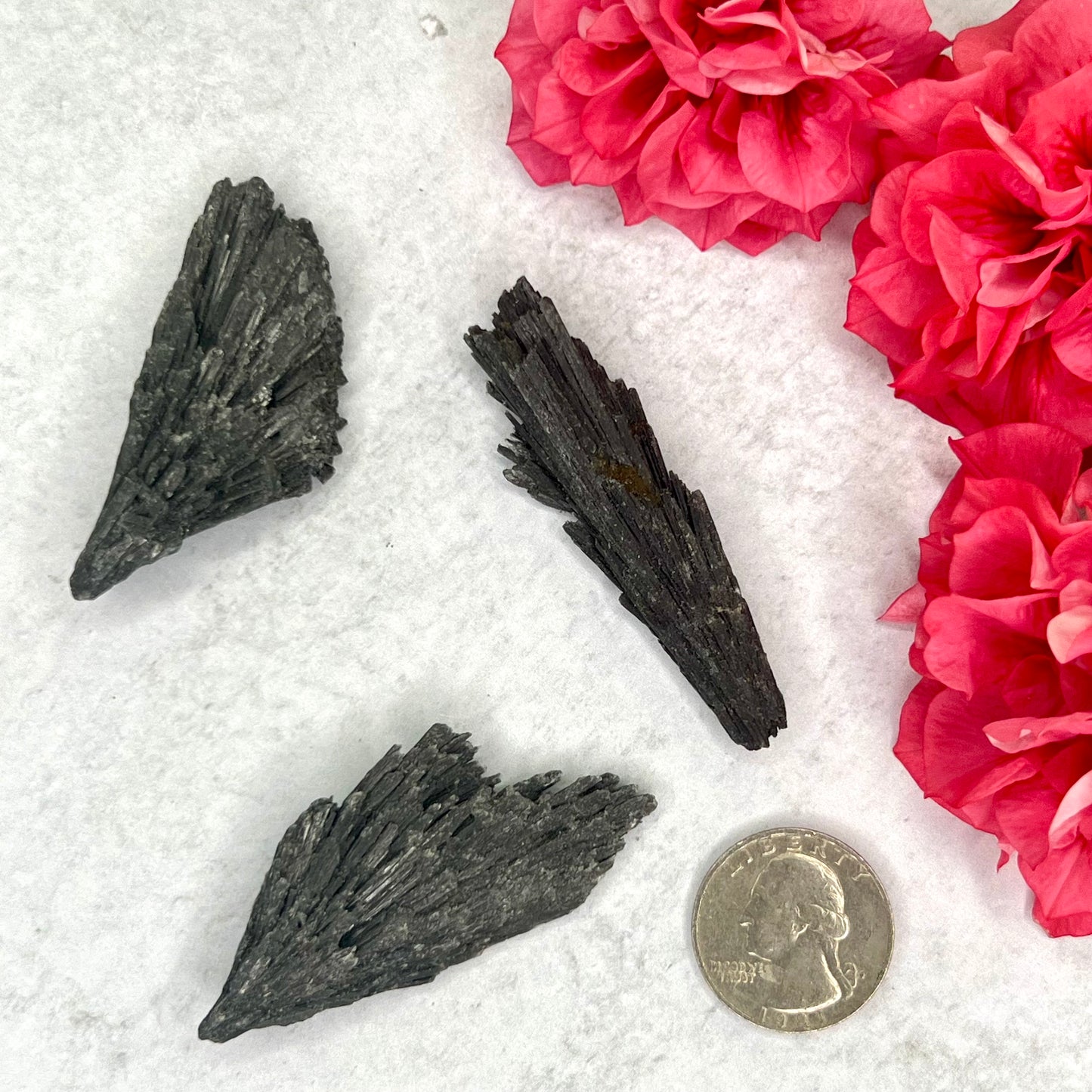 Kyanite // Black // Blades