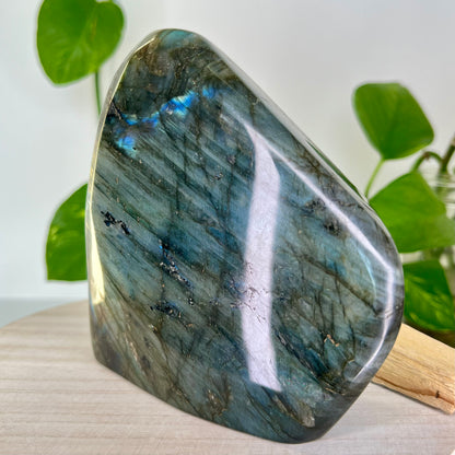 Labradorite // Free Form