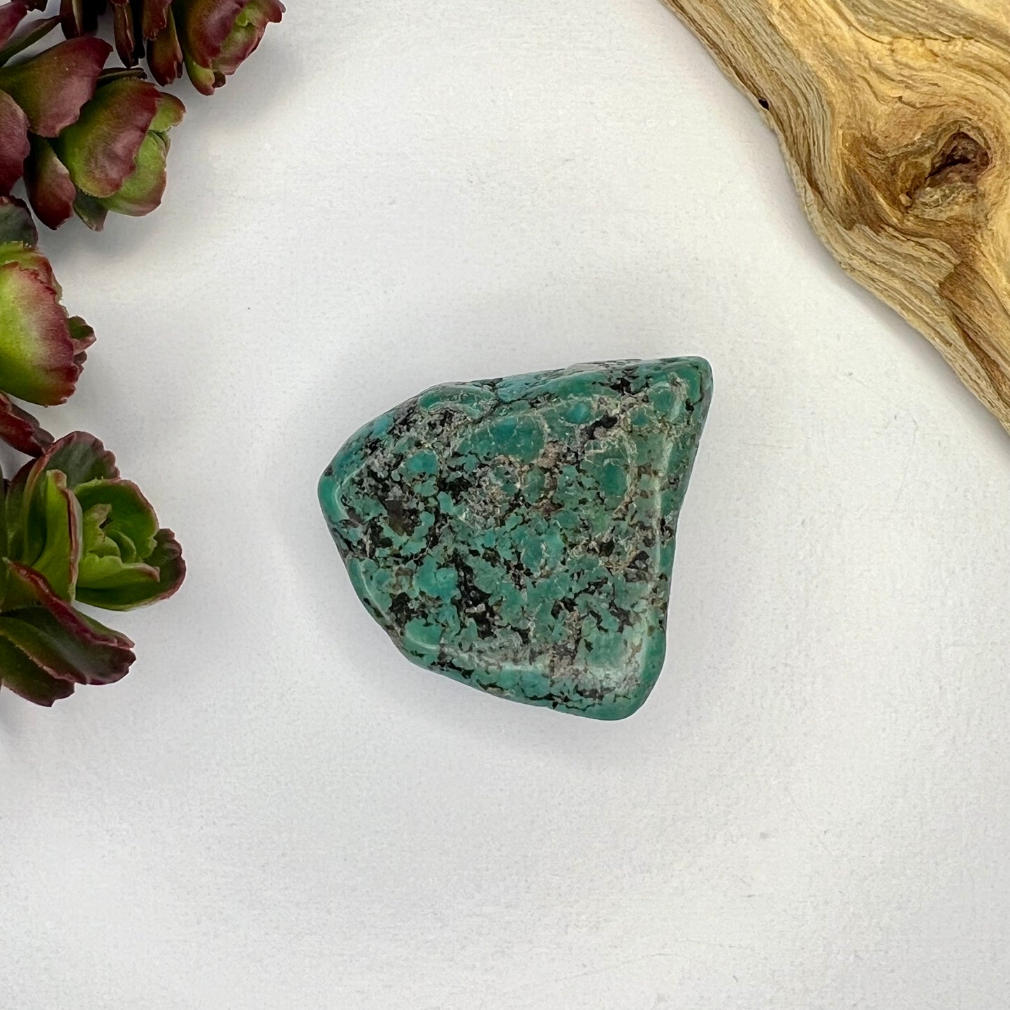 Turquoise // Polished Piece