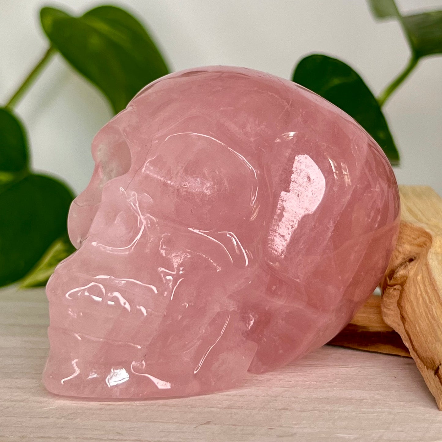 Rose Quartz // Skull