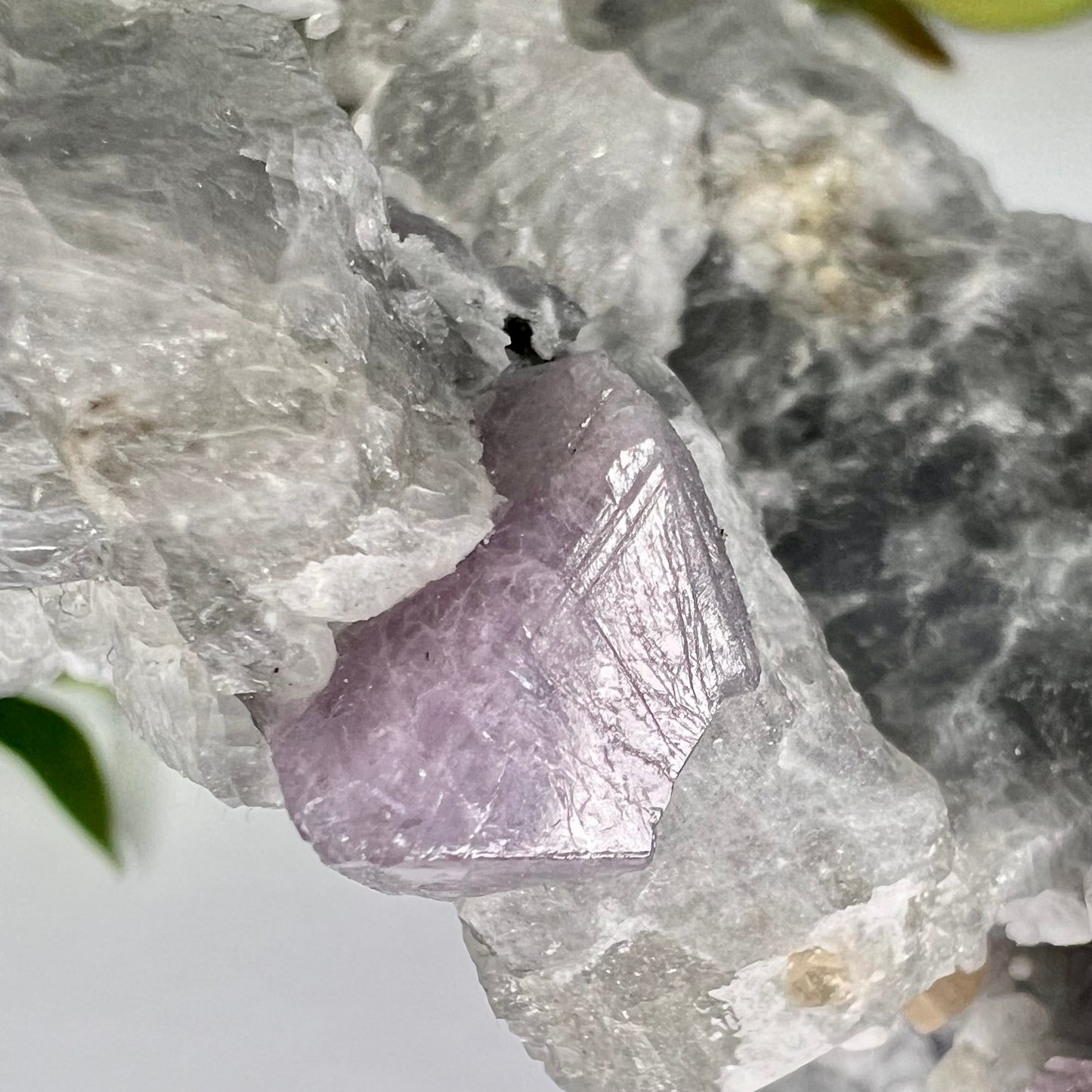 Spinel // Purple // Mineral // Specimen