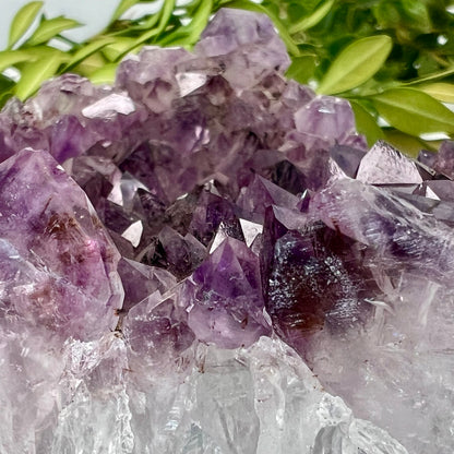 Amethyst // Cluster // Heart