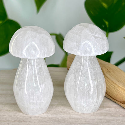 Selenite // Mushroom