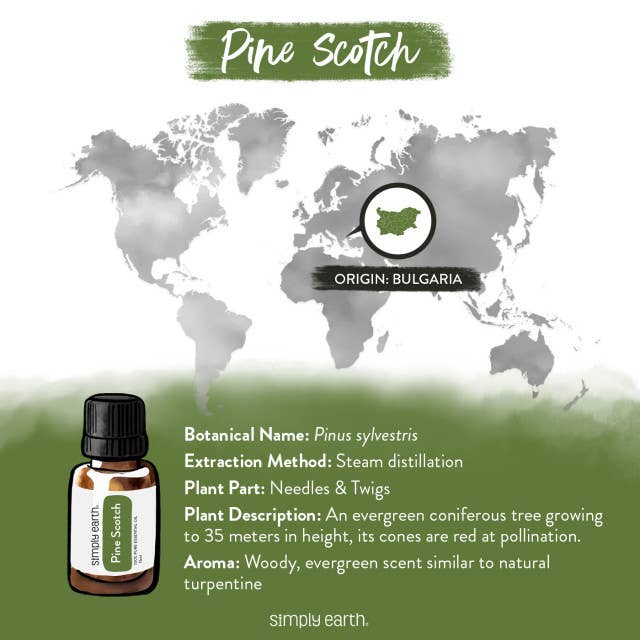 Pine Essential Oil 15ml