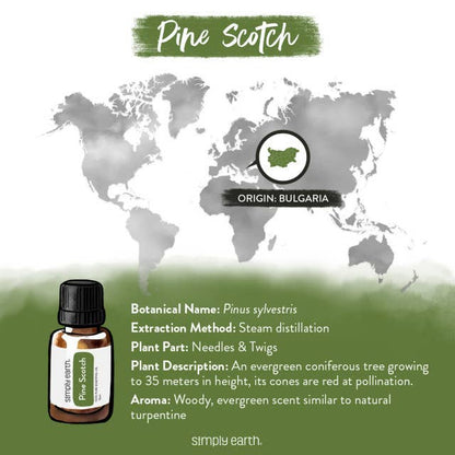 Pine Essential Oil 15ml