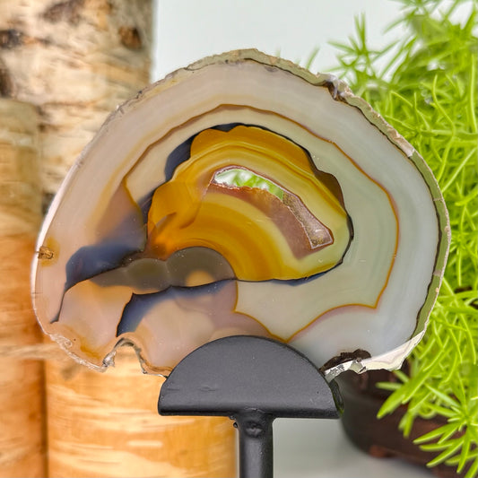 Agate // Slice