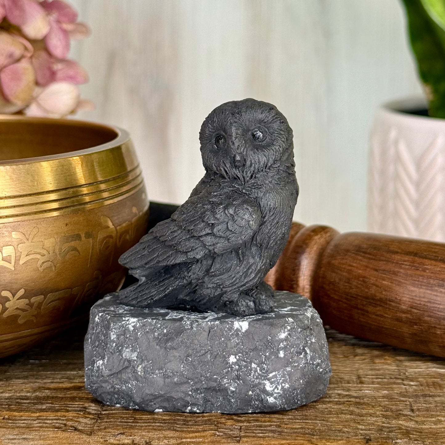 Shungite // Owl