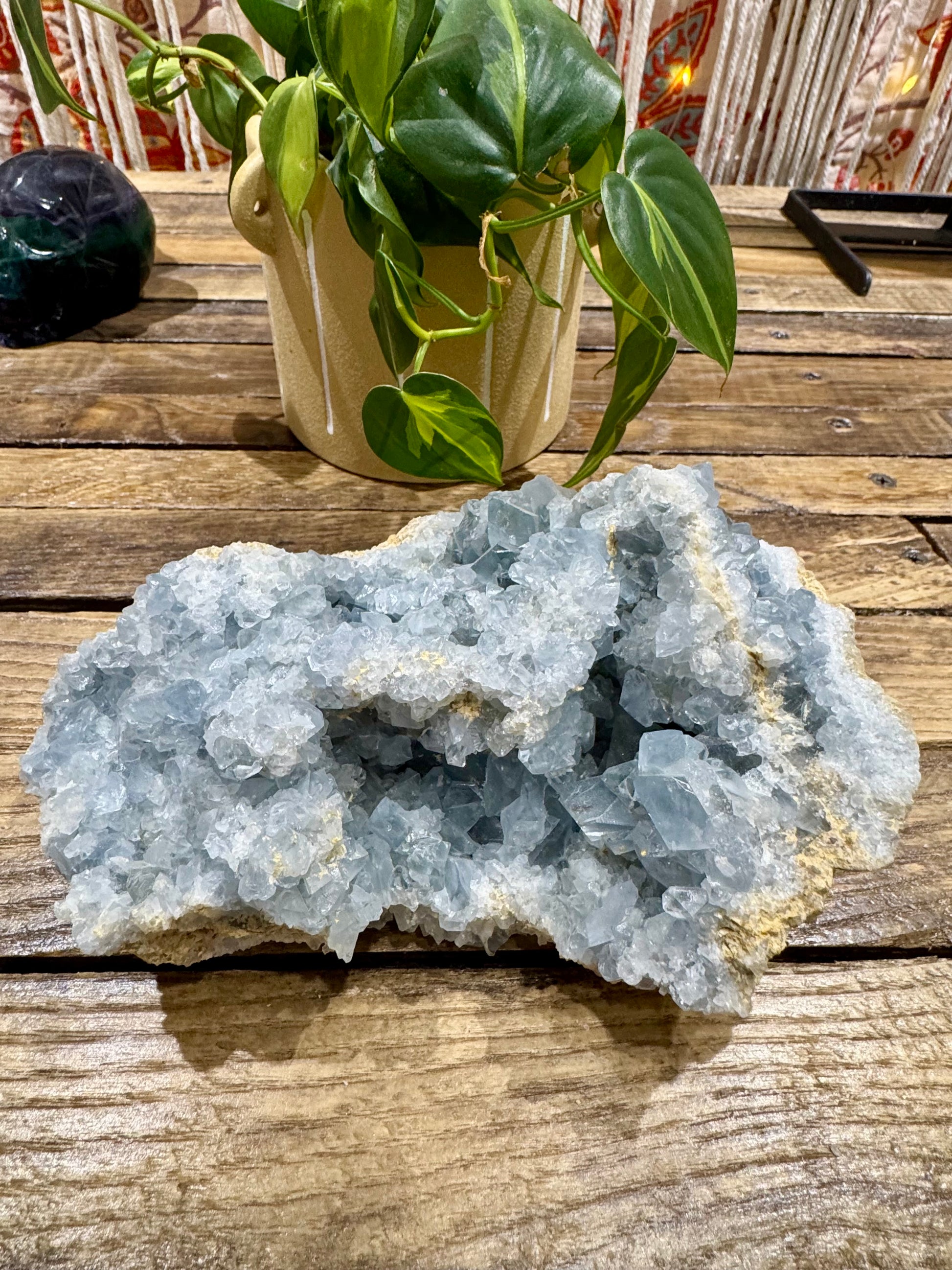 Celestite // Cluster - SolRising The Rock Shop