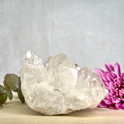 Quartz // Clear // Cluster