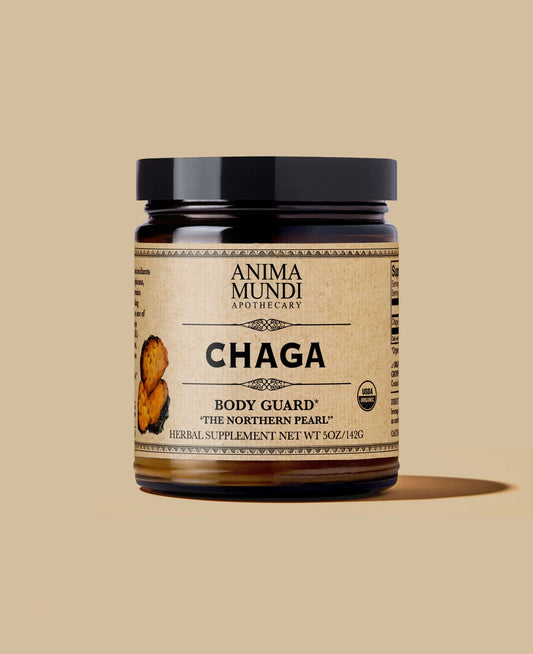 Chaga | Organic Mushroom Powder // Body Guard