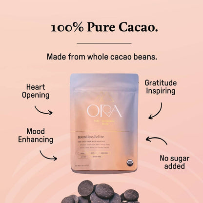 Boundless Belize 100% Cacao // Organic Ceremonial Chocolate // 1/2 lb