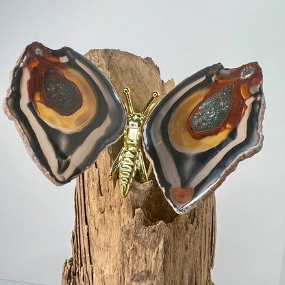 Agate // Butterfly