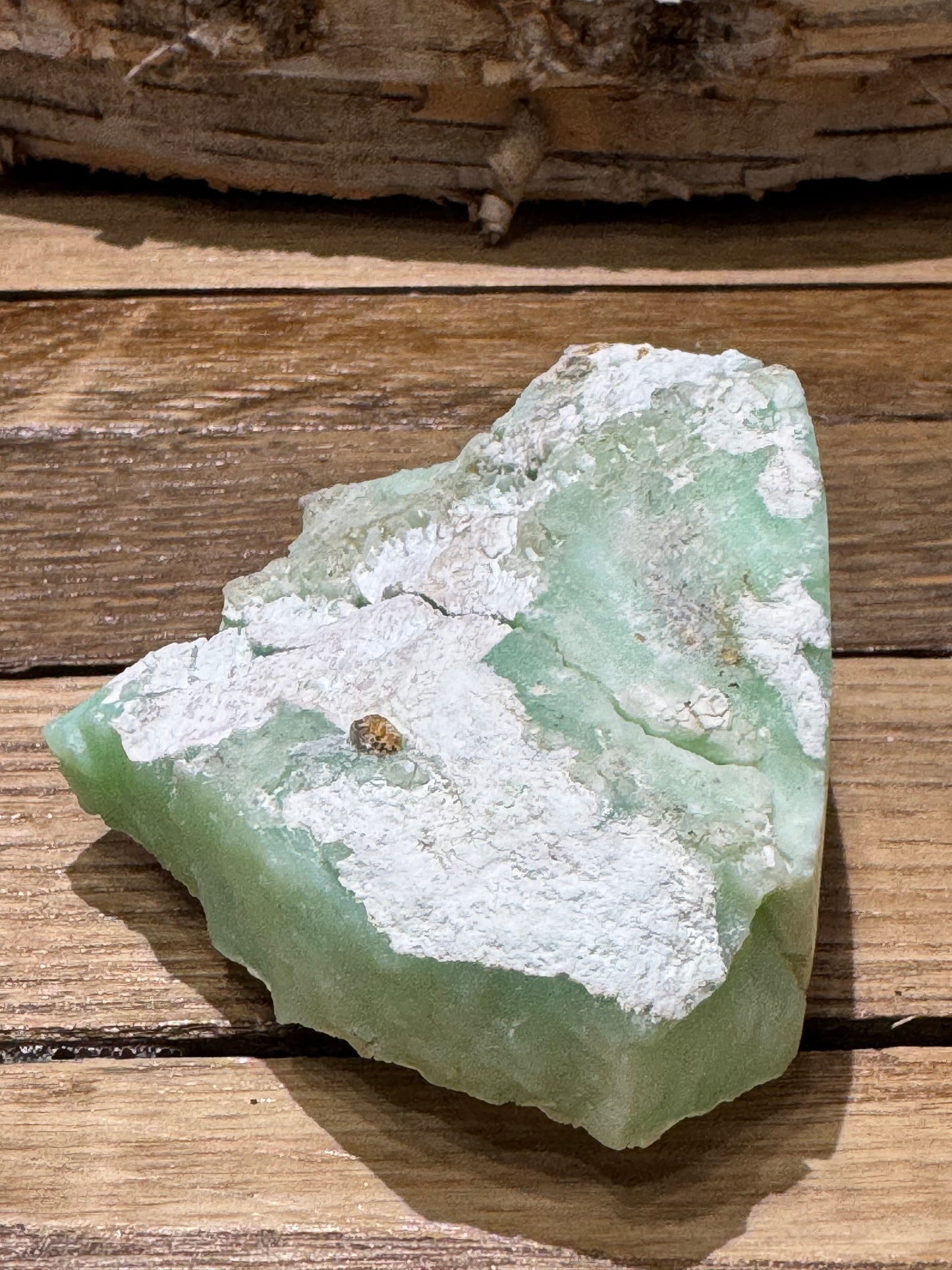Chrysoprase // Rough // Poland