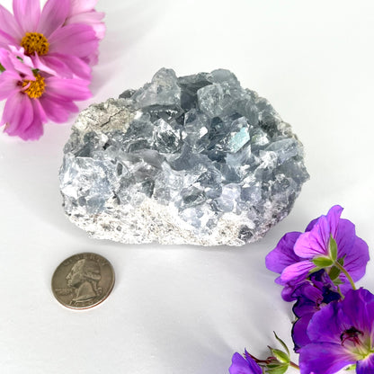 Celestite // Cluster