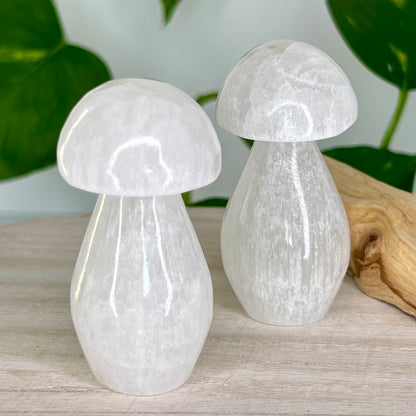 Selenite // Mushroom