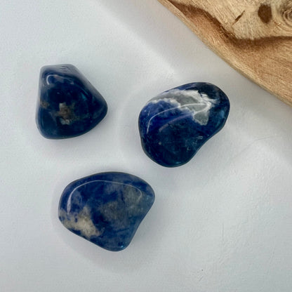 Sodalite // Tumbled