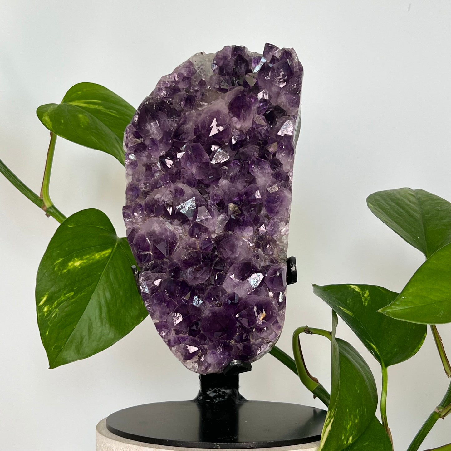 Amethyst // Cluster // w/ Stand