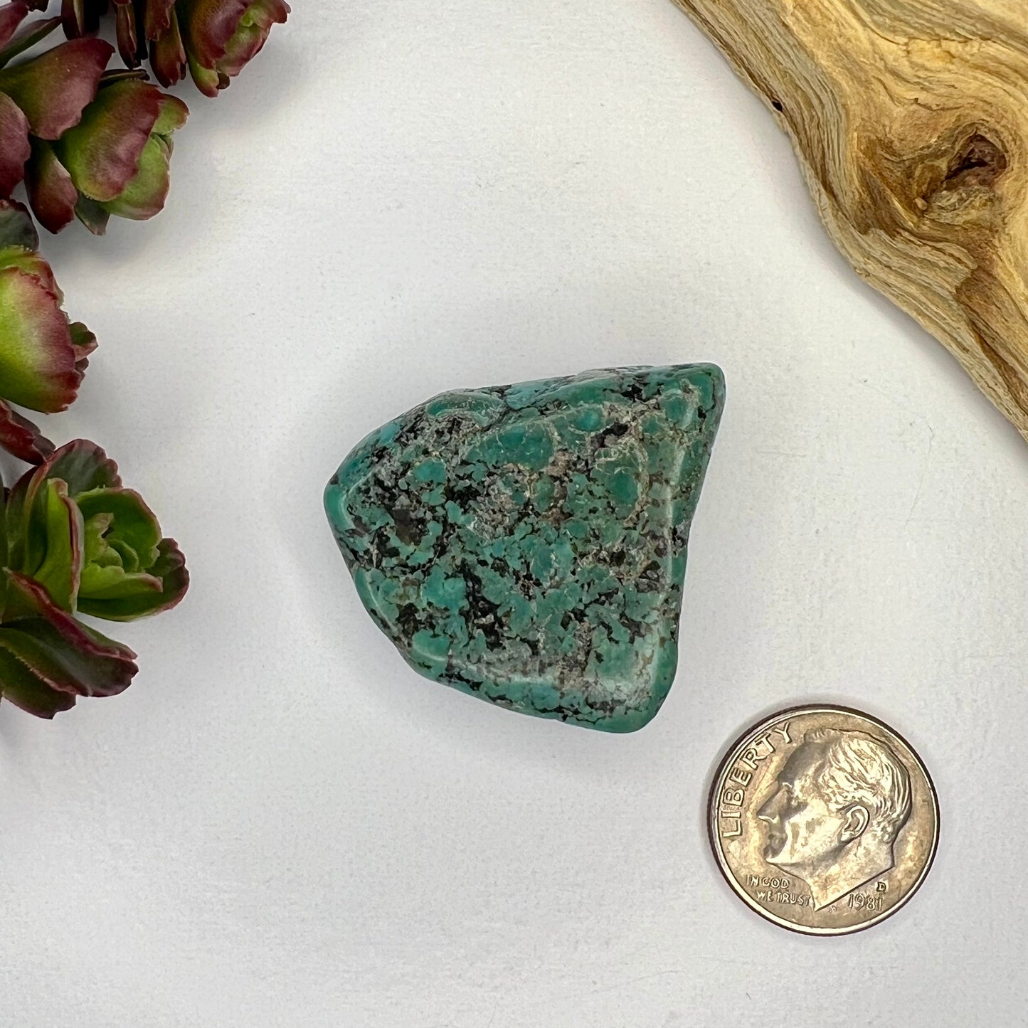 Turquoise // Polished Piece