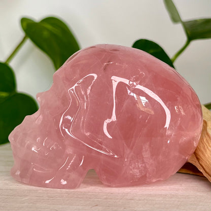 Rose Quartz // Skull