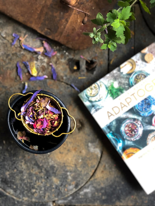 ADAPTOGENS Book | Ritual Wellness - SolRising The Rock Shop