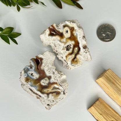 Fossilized // Coral // Natural Mineral