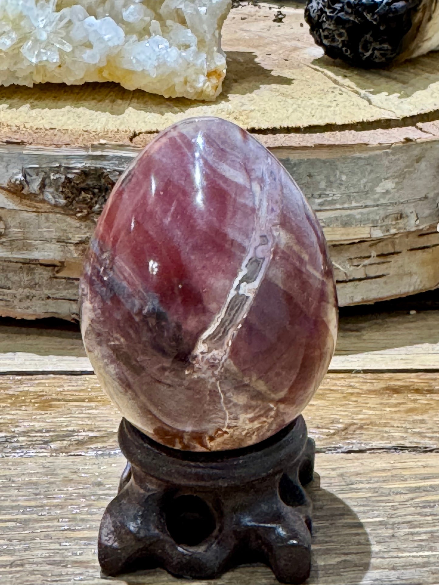 Petrified Wood // Egg