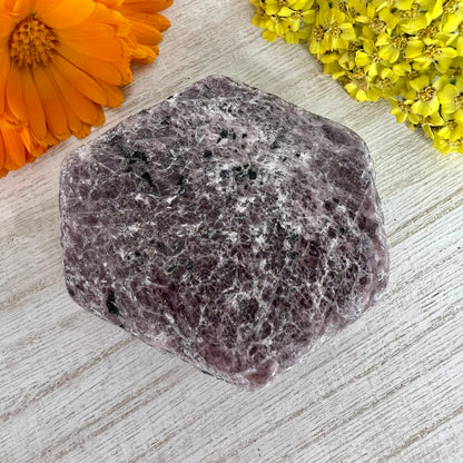 Ruby - Raw Hexagon Corundum w/ Record Keepers